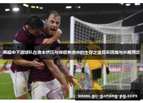 英超中下游球队在资本挤压与保级焦虑中的生存之道现实困境与长期博弈
