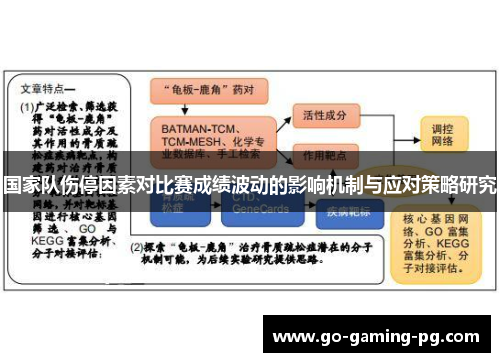国家队伤停因素对比赛成绩波动的影响机制与应对策略研究